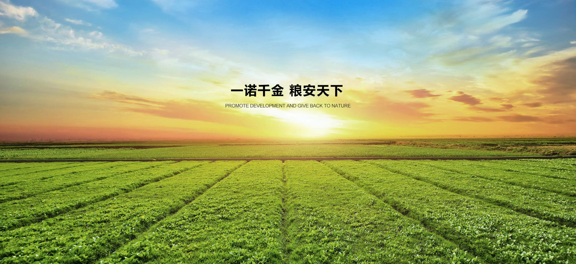 91黄版抖音生態肥業
